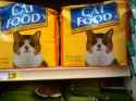 cat food