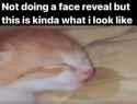 bc0f3549b0156232b8adeb3dc9b3dedd