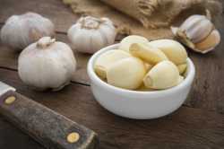 garlicvom