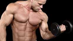 strength_wide-f2ce49c8c707c7efcc2529cb9c657596d48689f4