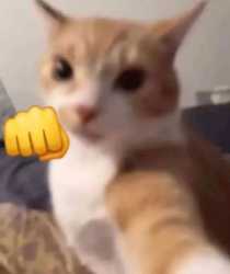 1744561978033993