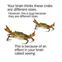 KfltFpd