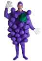 purple-grapes-costume