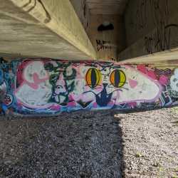 IMG_20240306_225820_249