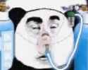 chinese-panda-wojak
