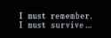 29 KB