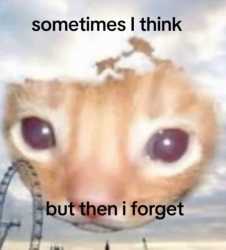 193 KB
