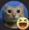 71 KB
