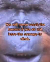 120 KB