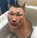 66 KB
