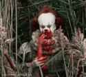 431 KB