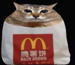 20 KB