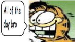 43 KB