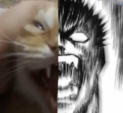 131 KB