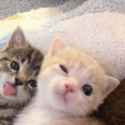 32 KB