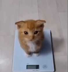 89 KB