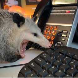 75 KB