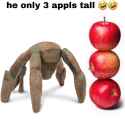 54 KB