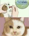 106 KB