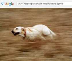28 KB