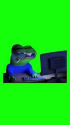20 KB