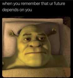 501 KB