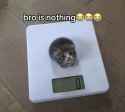 166 KB