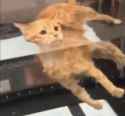 131 KB