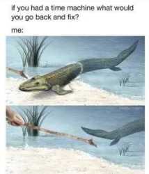 19 KB