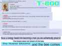 261 KB
