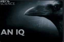 139 KB