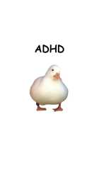 20 KB
