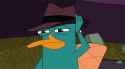 perry-the-platypus-hat