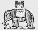 first-elephant