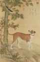 Ten-Fine Hound (%22Yellow Panther%22, 1688-1766