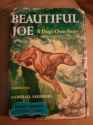 Beautiful-Joe-cover-300x400