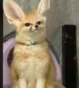 Inflated Fennec Fox