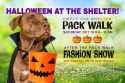 Halloween-pack-walk-2024