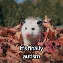 possum_autism