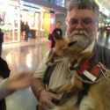 while-on-my-trip-in-rome-i-met-a-german-guy-with-an-incredible-moustache-carrying-a-fox-around-the-train-station