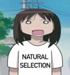 nyaatural selection X3