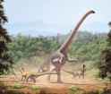 Barosaurus_lentus1