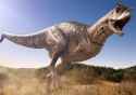 trojwymiarowa-carnotaurus-ladowania-przez-pole-700-92172776