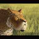 smilodon_by_thesax66_da5rq10-fullview