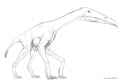 pterosaur