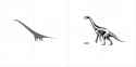 Mamenchisaurus &amp; Therizinosaurus VCOG