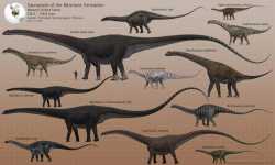 morrison sauropods