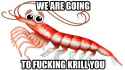 krill