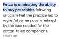 we-did-it-petco-stopped-the-sale-of-bunnies-v0-kxsb1fotssqd1