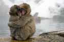 comfort